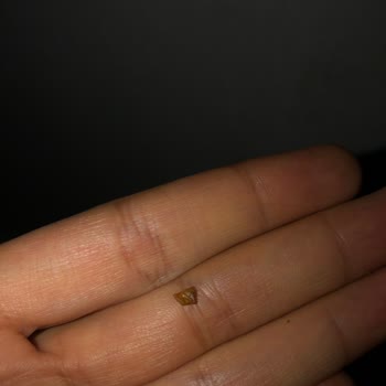 Tarım Kredi Kooperatif Market Tarım Kredi Kooperatifinin Ürününün Kalitesizliği