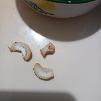 Özgür Leblebi Kurtlu Kuruyemiş Satıyorlar
