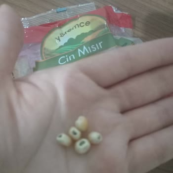 A101 Küflü Gıda Yiyecek