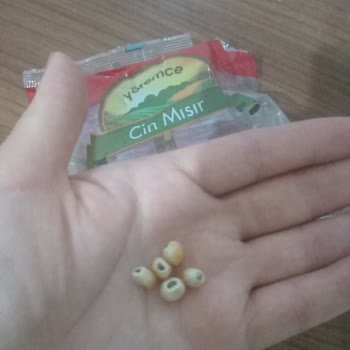 A101 Küflü Gıda Yiyecek