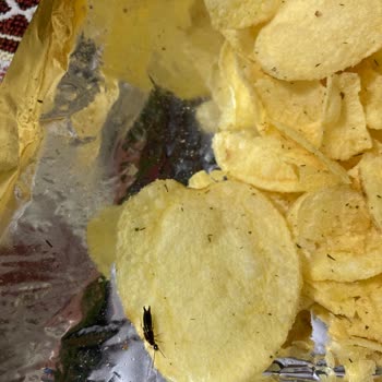 Chips Master Cips Paketinden Çıkan Böcek