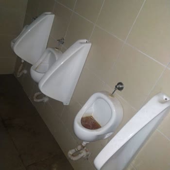 Doğa Koruma Ve Milli Parklar Temizlik Sorunu