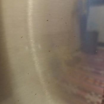 Bosch Marka Buzdolabın Da Paslanma.