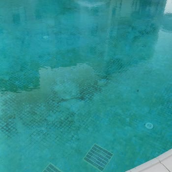 Nef Çekmeköy Site Yönetimi Nef Çekmeköy Havuz Kirliliği