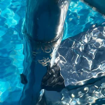 Nef Çekmeköy Site Yönetimi Nef Çekmeköy Havuz Kirliliği