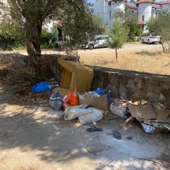 Burhaniye Belediyesi Şikayet Çöp Temizliği Tapılmıyor