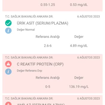 Hotels.com Datça Villa Carla Hotel Çok Kötüydü