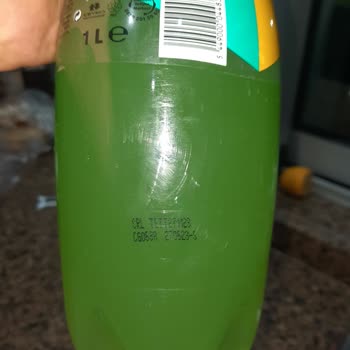 Schweppes Yosunlanma Ya Da Başka Bir Şey