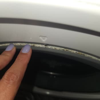 Electrolux Makine Lastiği Küf Mantar!