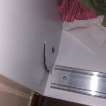 Karacan Avm - Evsenin Mobilya Ürün Ve Satış Danışmanı Sorunu