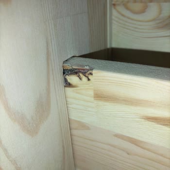 Dkids.com.tr Sitesinden Aldığım Alakasız Ürün ve Fatura Sorunu