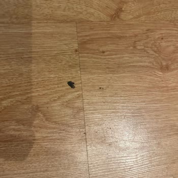 Rixos Premium Seagate Sharm El Sheikh Hayal Kırıklığı Oldu!