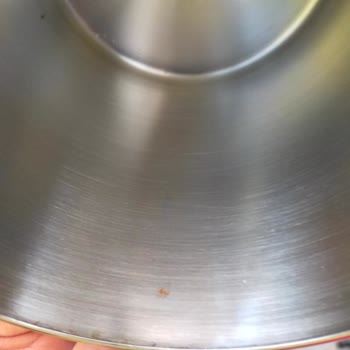Jumbo Kötü İşçilik, Muhatap Yok