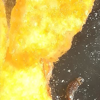 BİM Patito Cipsin Nin İçinden Çıkan