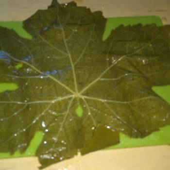 Rekolte Lezzet Mirası Dekolte Asma Yaprağı Tam Bir Fiyasko