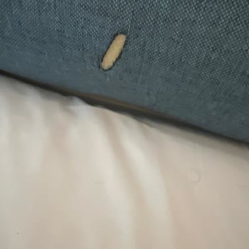 Orange County Kemer Talep Edilen Ücretin İadesi