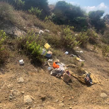Beykoz Belediyesi Riva Galera Koyu Piknik Alanı Temizlik Sorunu...