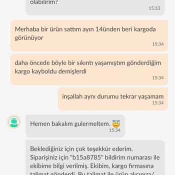 Trendyol Express Kargomu 2 Kere Kayıp Ettiler