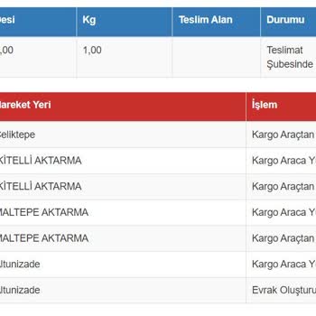 Sürat Kargo "13113611335152" Kargo Takip Numaralı Paketim Dağıtıma Çıkmıyor!