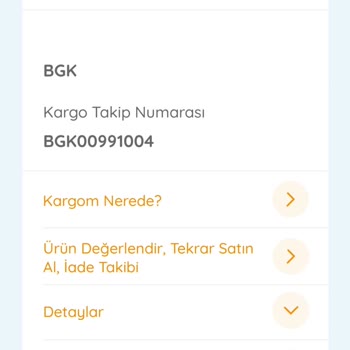 Bir Günde Kargo Tarafıma Teslim Edilmeyen Kargo