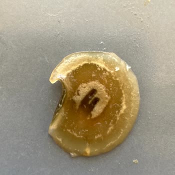 Cappy Meyve Suyu Yabancı Cisim.