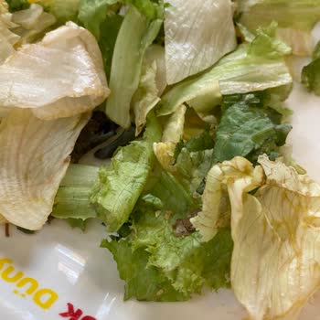 Tavuk Dünyası Çürümeye Yakın Sebzeli Salatalar