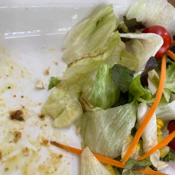 Tavuk Dünyası Çürümeye Yakın Sebzeli Salatalar