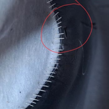 Greyder Ne Zaman Bu Ayıbı Düzelteceksin.