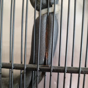 Arçelik Derin Dondurucu Pas