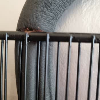 Arçelik Derin Dondurucu Pas