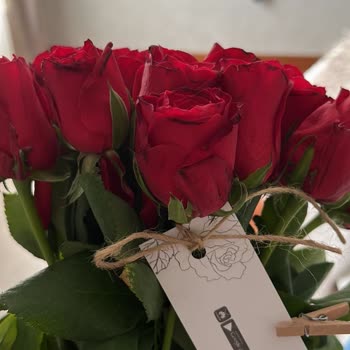 Taze Çiçek (tazecicek.com)'ten Alınan Güllerin Kalitesi Hayal Kırıklığı Yarattı!