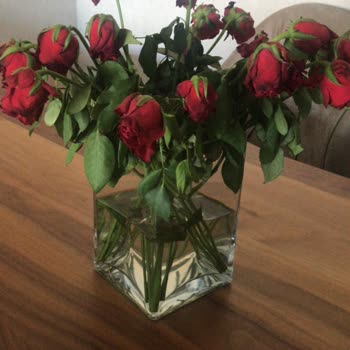 Taze Çiçek (tazecicek.com)'ten Alınan Güllerin Kalitesi Hayal Kırıklığı Yarattı!