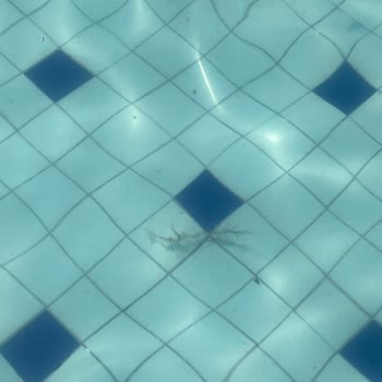 Aqua Club Dolphin Bahçeşehir Hastalık Derecesinde Kirli