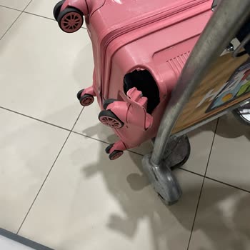 Pegasus Hasar Görmüş Kırılmış Bavul