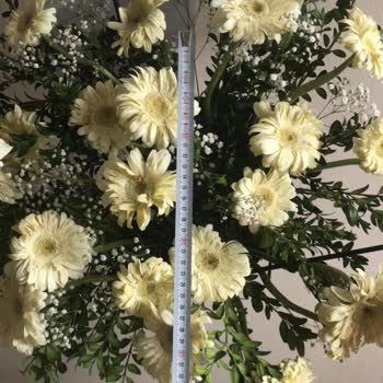 Çiçek Sepeti Tüketici Hakem Heyeti'nin Kararına Uymuyor