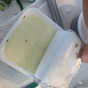 Pınar Et Ve Süt Küflü Süzme Peynir