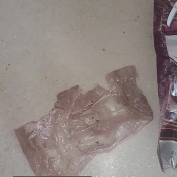 BİM Puding Paketinden Poşet Çıkması!