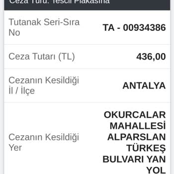 Concordia Celes Otel Alanya İlgisizlik