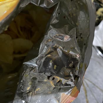 Lays Cipsinden Karınca Çıktı