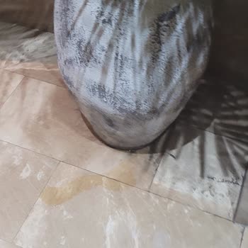 Cookshop Geç Ve Yanlış Gelen Sipariş Pis Tuvaletler