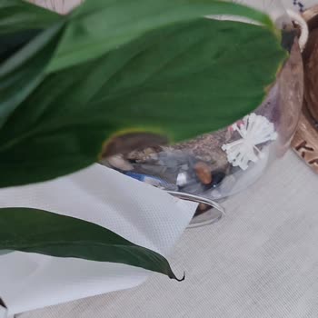 ÇiçekSepeti Ayıplı Ürün Teslim Alınmıyor Ve İade Yapılmıyor