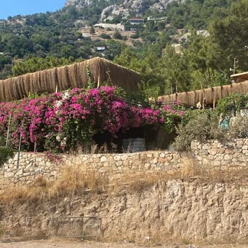 Tree House Fethiye Otel Sahibi Saygısızlığı