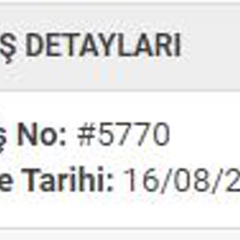 Arya Gross Teslimat Süreci Yurt Dışını Geçti (! )