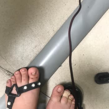 Niloshka Markasından Alınan Terlik