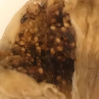 Tarım Kredi Kooperatif Market Bozuk Ürünün İadesinin Yapılmaması