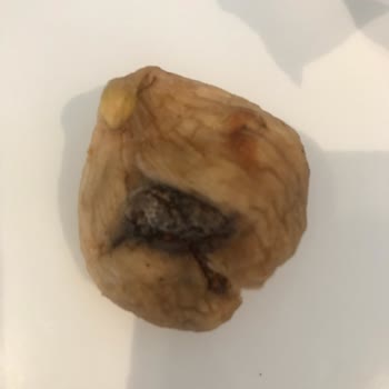 Tarım Kredi Kooperatif Market Bozuk Ürünün İadesinin Yapılmaması