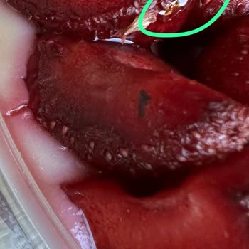 Liva Pastanesi (livashop.com) Ekşimiş Bir Pasta Üzerinde Kıl Olan Tatlı