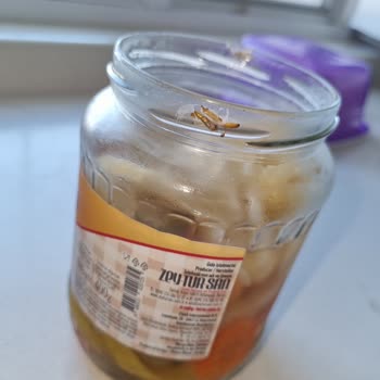 Migros Hemen Berrak Karışık Turşu Güve