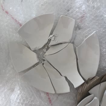 Karaca Kırık Talep Formu