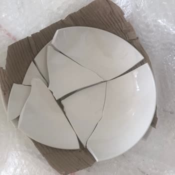 Karaca Kırık Talep Formu